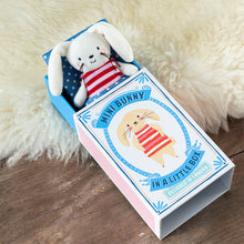 Load image into Gallery viewer, Mini Bunny in a Little Box - soft toy