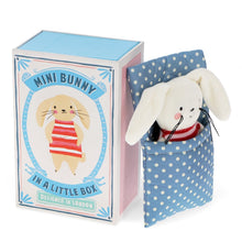 Load image into Gallery viewer, Mini Bunny in a Little Box - soft toy