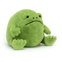 Load image into Gallery viewer, Ricky Rain Frog