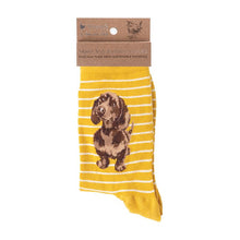 Load image into Gallery viewer, Little One Dog Mustard Sock