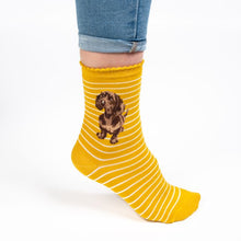 Load image into Gallery viewer, Little One Dog Mustard Sock