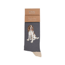Load image into Gallery viewer, 'WILLOW' SPANIEL MEN'S SOCKS