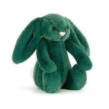 Load image into Gallery viewer, Bashful Teal Bunny Little
