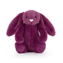 Load image into Gallery viewer, Bashful Allium Bunny Little
