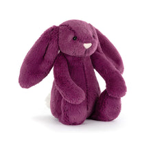 Load image into Gallery viewer, Bashful Allium Bunny Little
