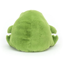 Load image into Gallery viewer, Ricky Rain Frog
