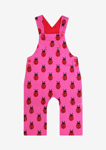 Organic Labybird Print  Dungarees