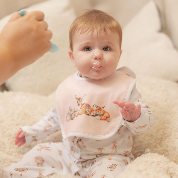 Little Wren Bib Gift Set - Little Forest Pink