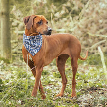 Load image into Gallery viewer, DOG BANDANA M / L
