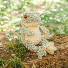Load image into Gallery viewer, 'Elliott' Frog Plush Junior

