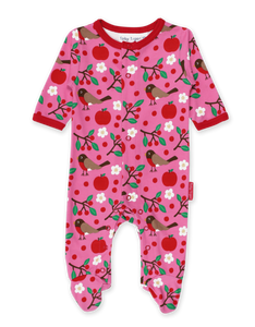 Organic Robin Print Babygrow