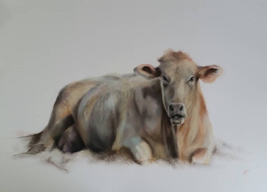 'Cream cow ll ' from Aaron Holton’s Cow print Series
