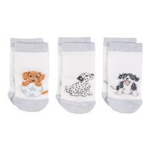 Load image into Gallery viewer, &#39;LITTLE PAWS&#39; DOG BABY SOCKS
