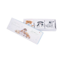 Load image into Gallery viewer, &#39;LITTLE PAWS&#39; DOG BABY SOCKS
